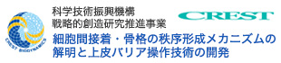 科学技術振興機構：戦略的創造研究推進事業 CREST『細胞間接着・骨格の秩序形成メカニズムの解明と上皮バリア操作技術の開発』